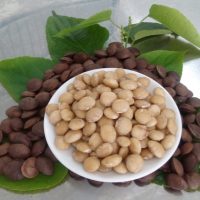 Nhân Sachi lọ 250g