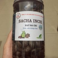 Hạt Sachi rang cả vỏ lọ 500g