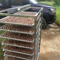 Macca sấy nứt vỏ lọ 500g