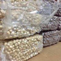 Macca nhân hộp 500g